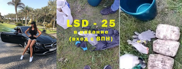 ПСИЛОЦИБИНОВЫЕ ГРИБЫ Баксан
