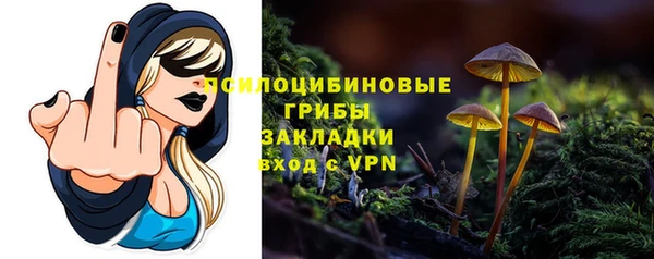 ПСИЛОЦИБИНОВЫЕ ГРИБЫ Баксан